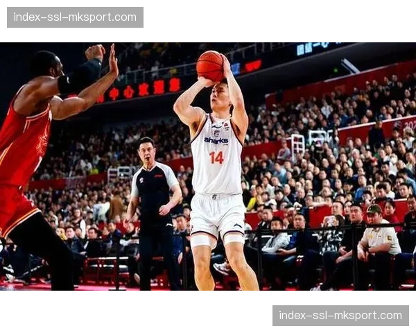 卢伟谈上海连胜秘诀：团队篮球与防守强度是关键